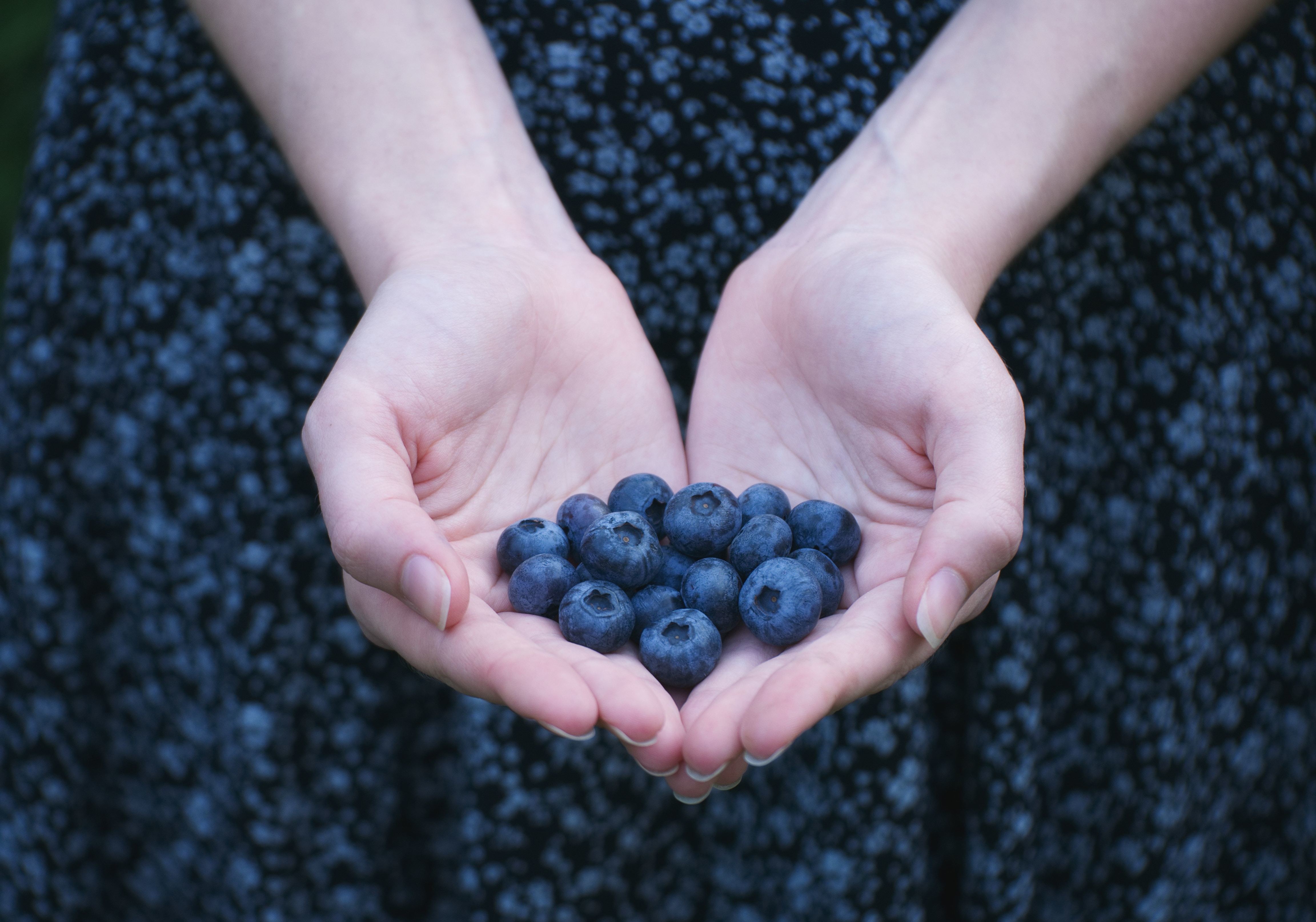 Anthocyanins- brain health