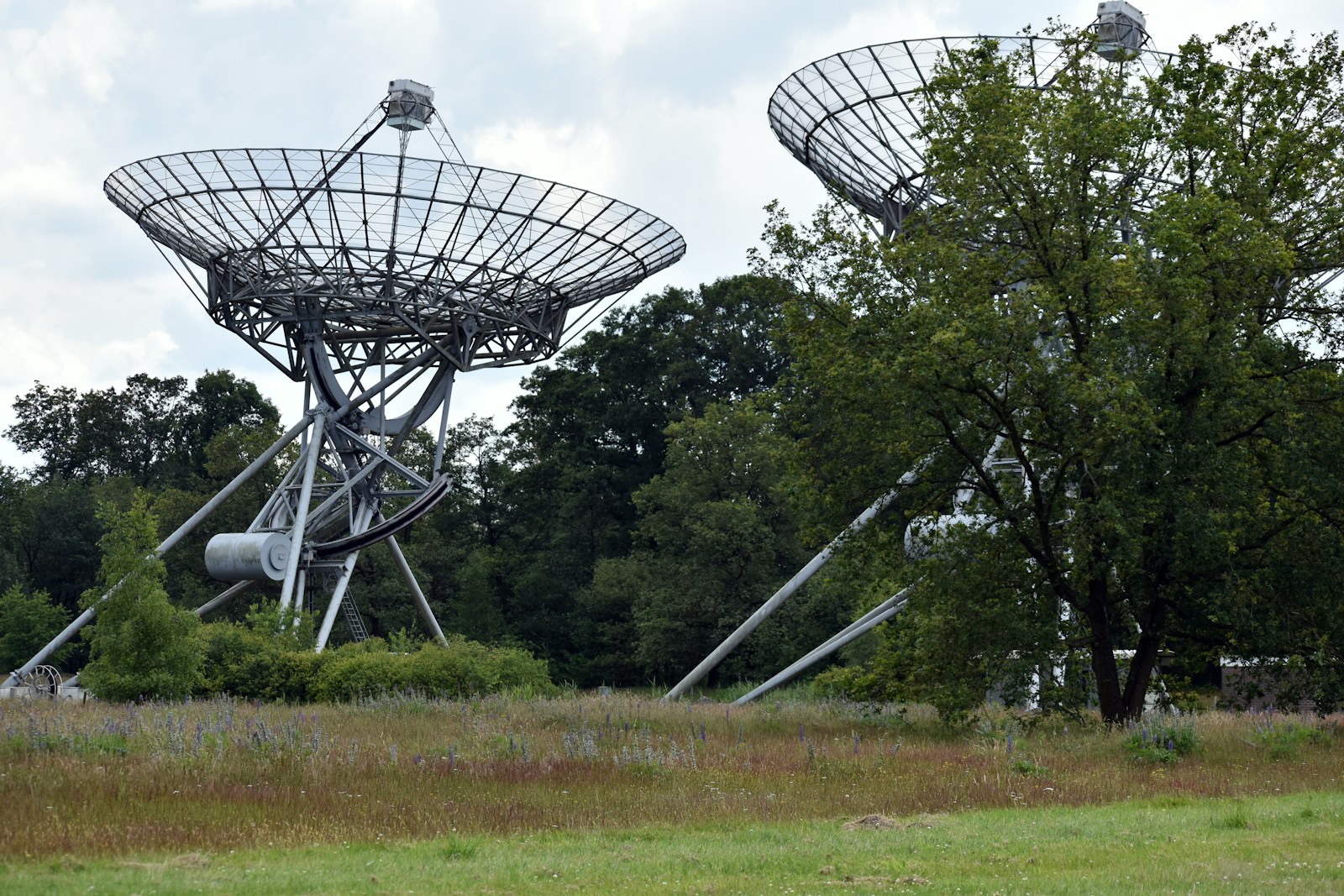 A couple of satellite dishes sitting on top of a lush green field Reducing EMFs