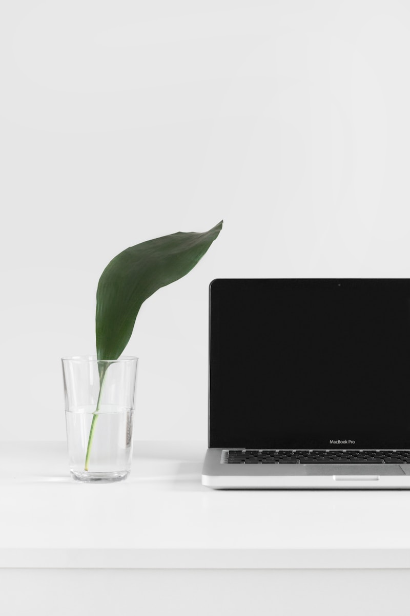 MacBook Pro beside plant in vase Detoxifying Your Home Office