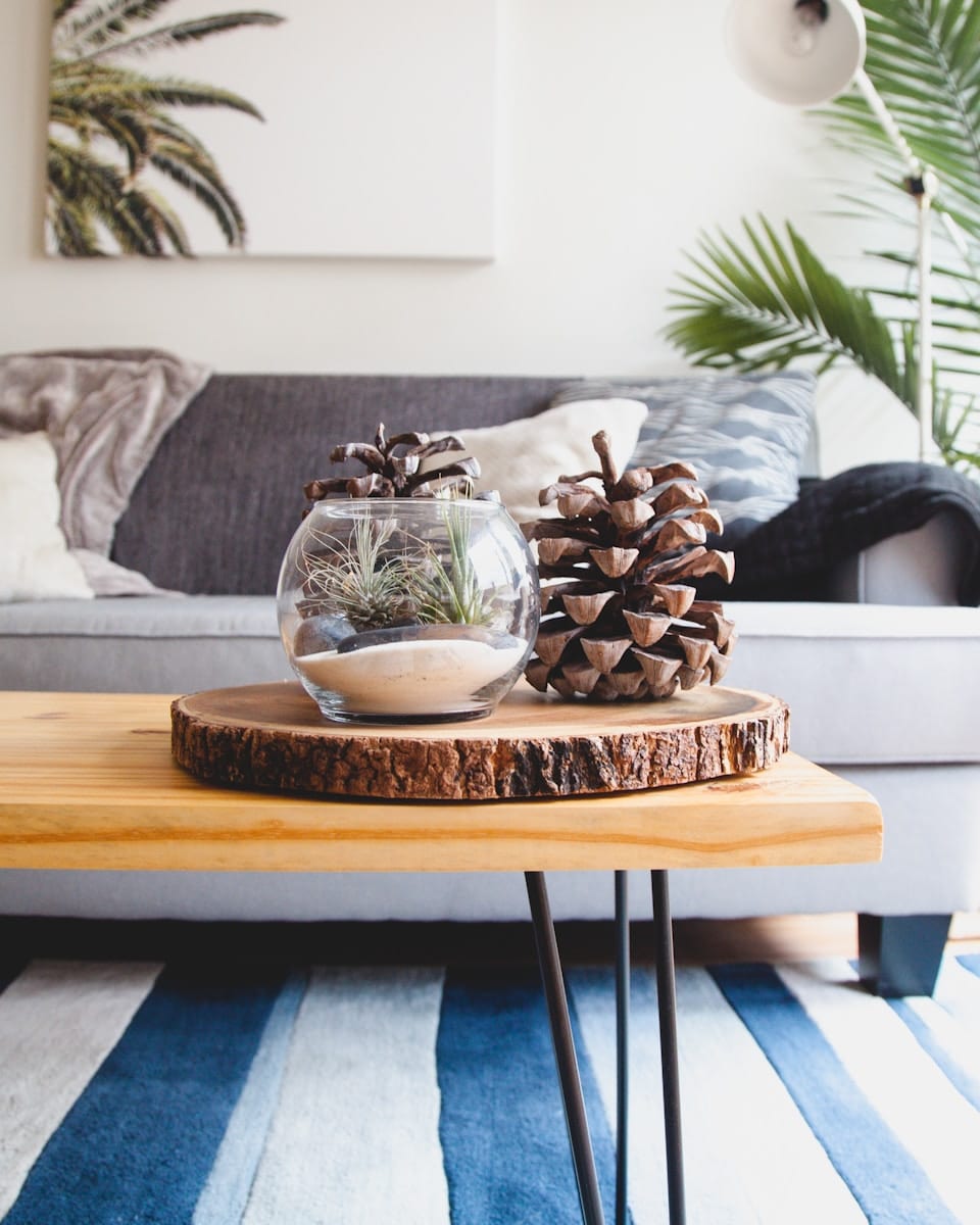 clear fishbowl beside pine cones on brown wooden table - Ditching Toxic Cleaners