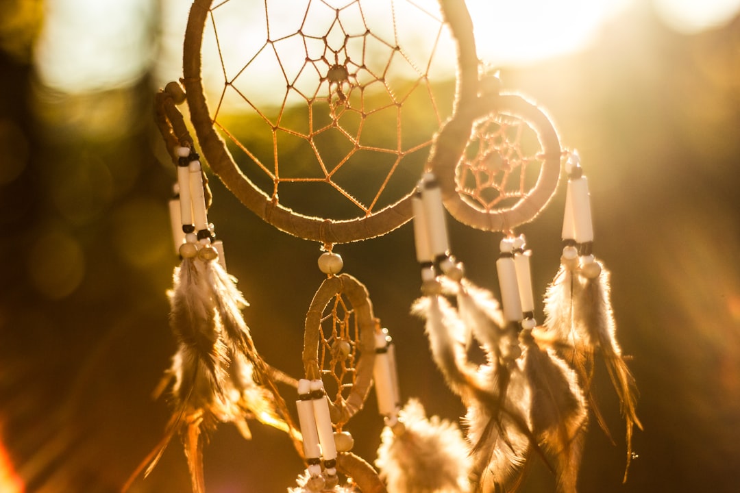 dream catcher -dreams and emotional processing